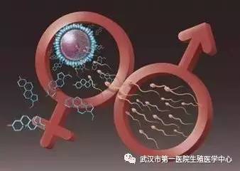 初生儿