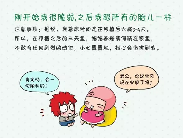 十月怀胎