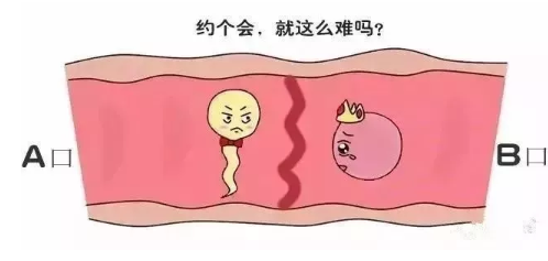 孕早期