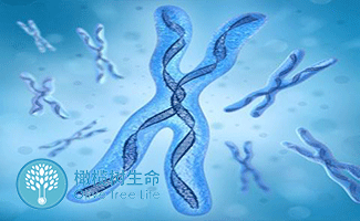 初生儿黄疸
