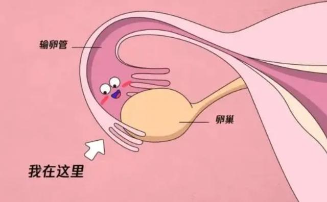 妊娠纹