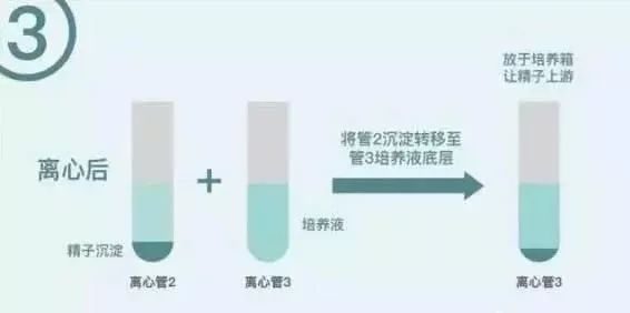 夜间饮食