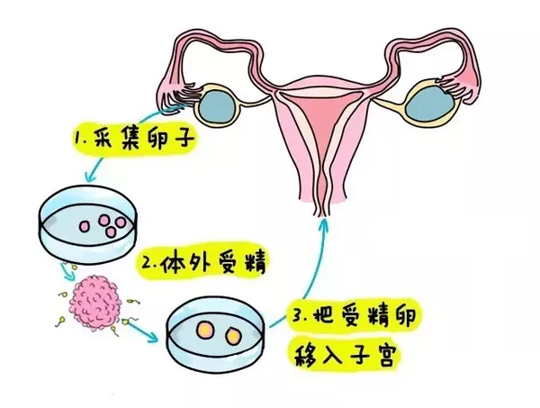 13岁女孩来月经