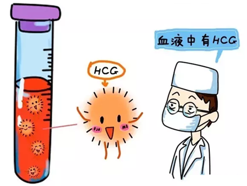 南京小产生育津贴