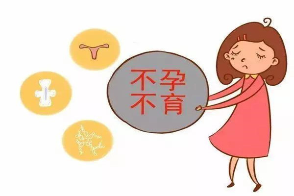 单体受孕