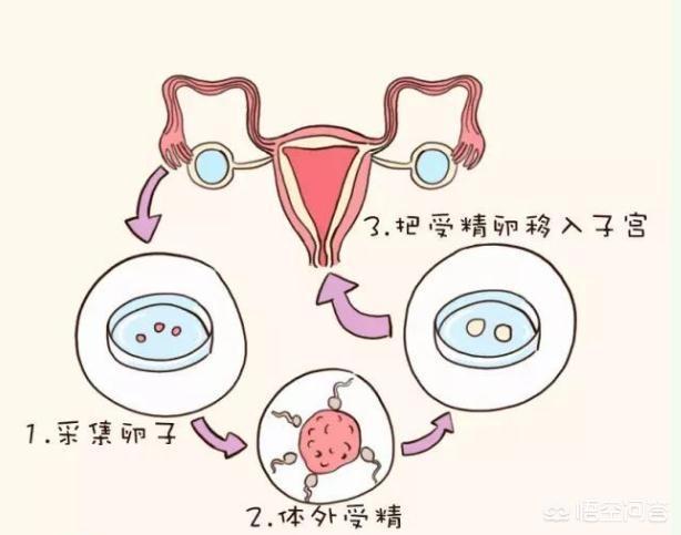 卵泡比较扁