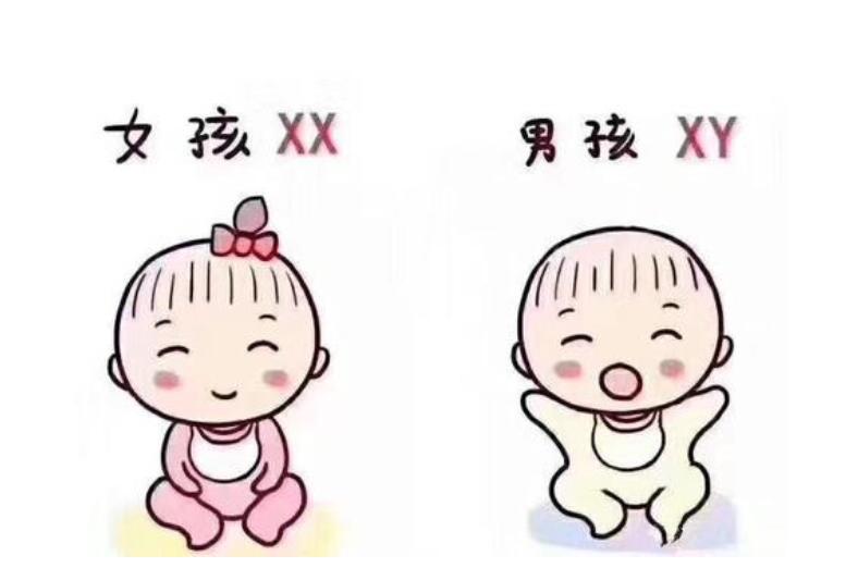 珠海试管婴儿