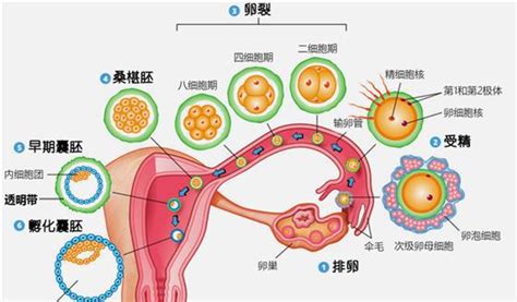声乐培训班