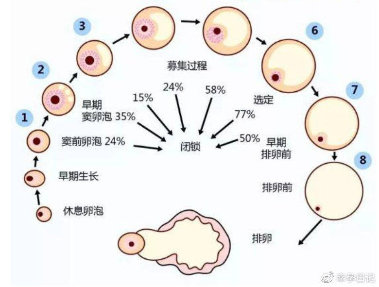国家捐卵机构