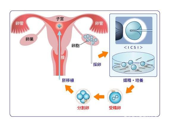 声乐基础知识
