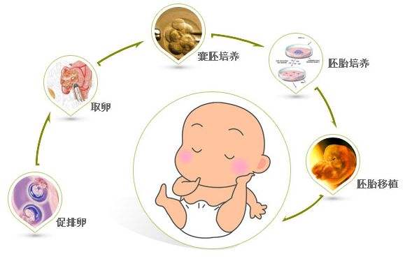 声乐基础书
