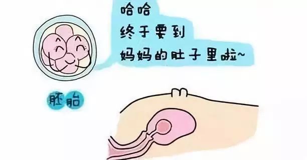 声乐培训班收费标准文件
