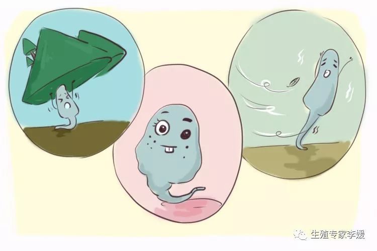 声乐基础